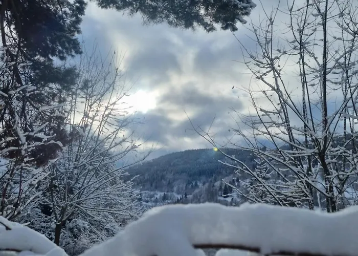 Apartman Uršula 2 *